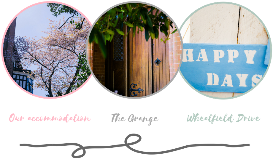 Thegrange Services - Tree (1000x600), Png Download