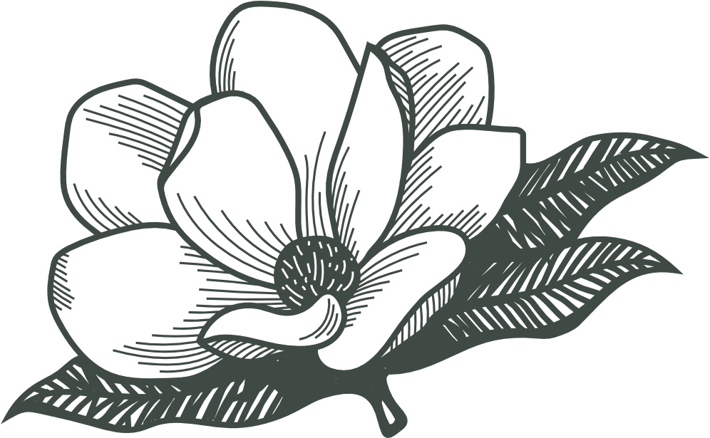 A Botanical Design Company - Orchid (1227x690), Png Download