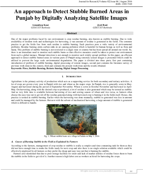 An Approach To Detect Stubble Burned Areas In Punjab - Tree (600x776), Png Download