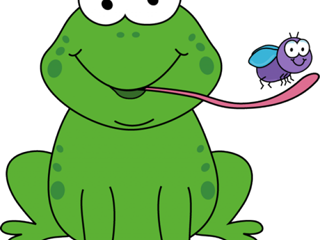 Frog Pictures For Kids - Frog Eating Fly (640x480), Png Download