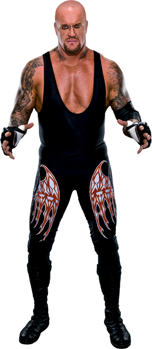 Wwe The Undertaker 2011 (523x1194), Png Download
