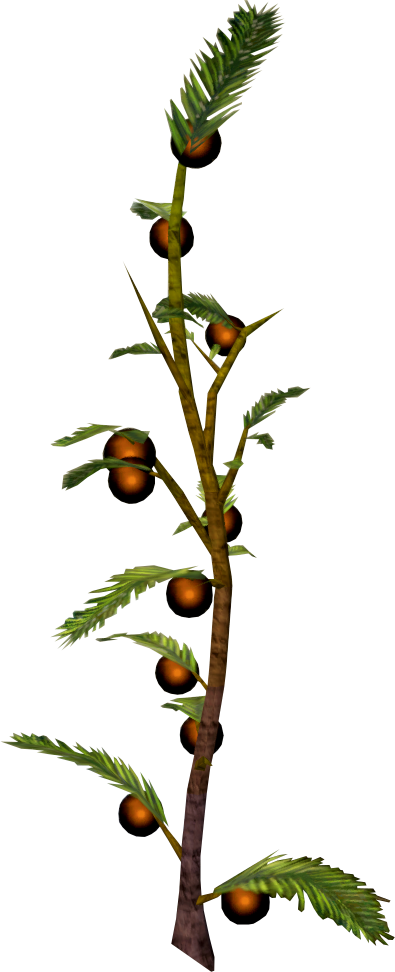 American Larch (395x972), Png Download