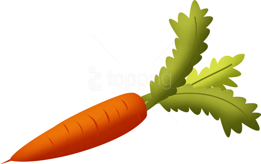 Free Png Images - Carrot Png Clipart (851x534), Png Download