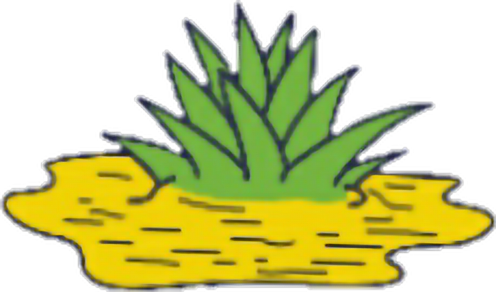 #pineapple #snapchat #melted #tumblr (1024x604), Png Download