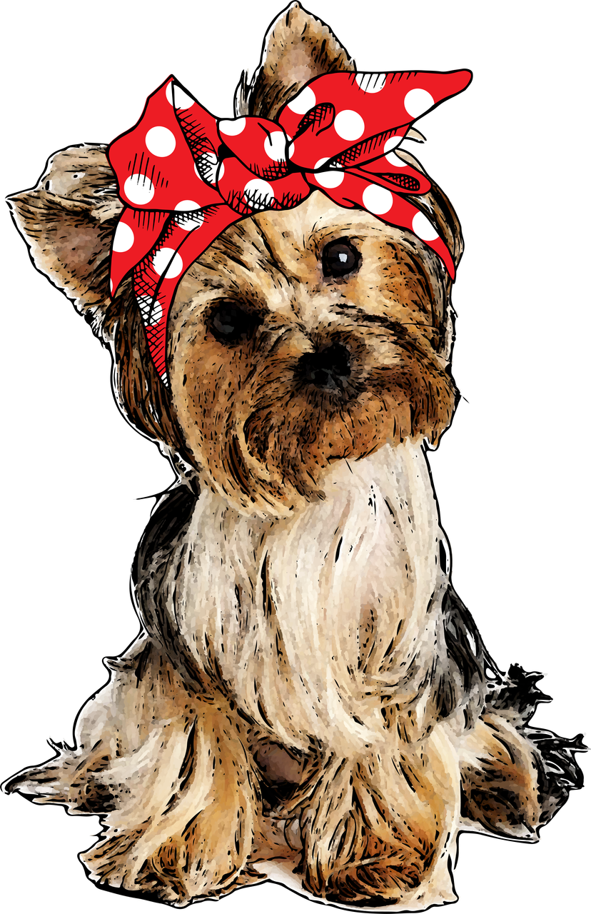 Yorkie Transfer - Собачка На Прозрачном Фоне (828x1280), Png Download