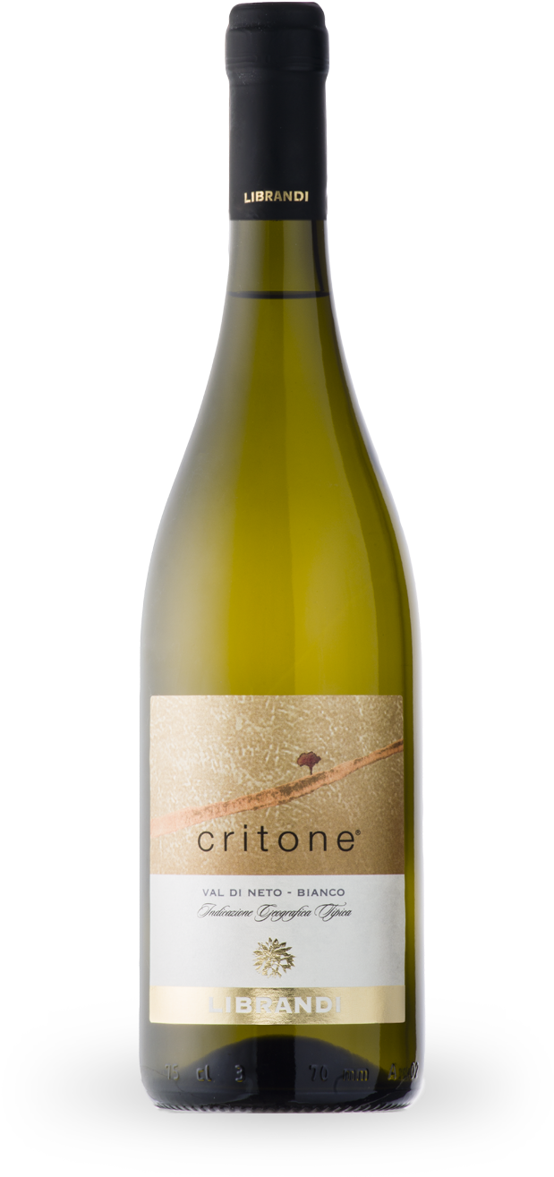 This Wine Is Named After Crito, Socrates' Favourite - Domaine Paul Buisse Touraine Sauvignon (745x1435), Png Download