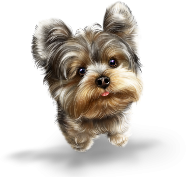 Bonne Journée Et Bon Week End (640x640), Png Download