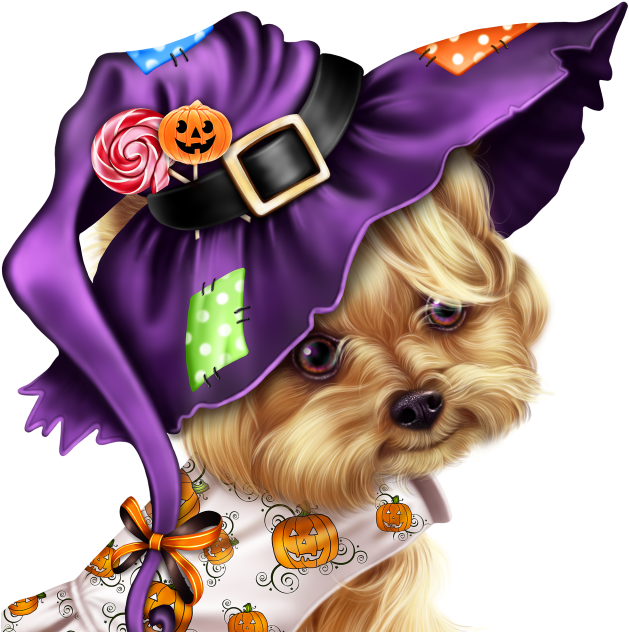 Little Pumpkin Yorkie - Yorkshire Terrier (640x640), Png Download