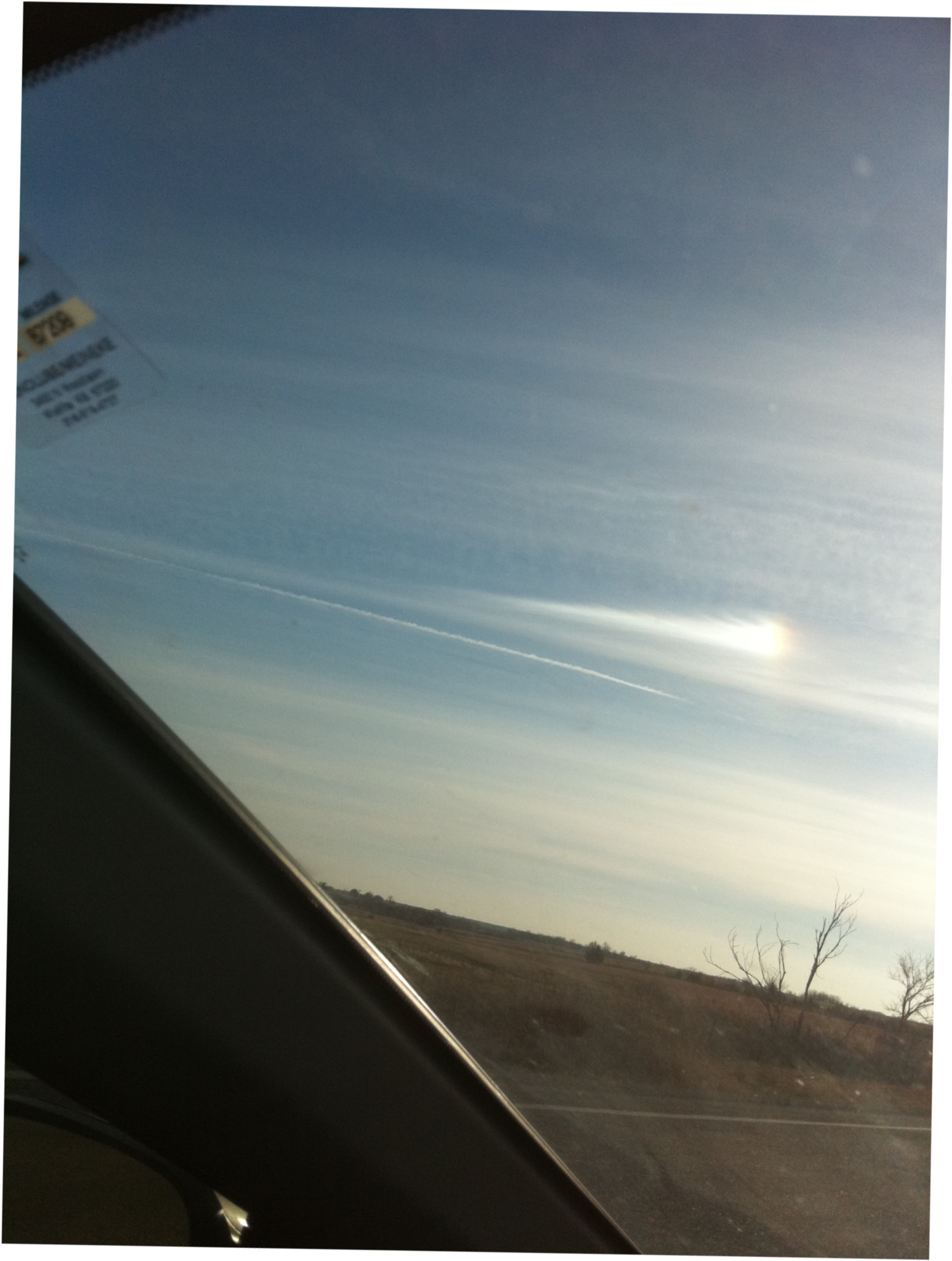 We Are A Small, Private Breeder Of Bearded Dragons (3356x3689), Png Download