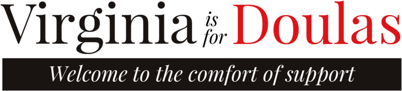 Virginia-logo - Parallel (1000x377), Png Download