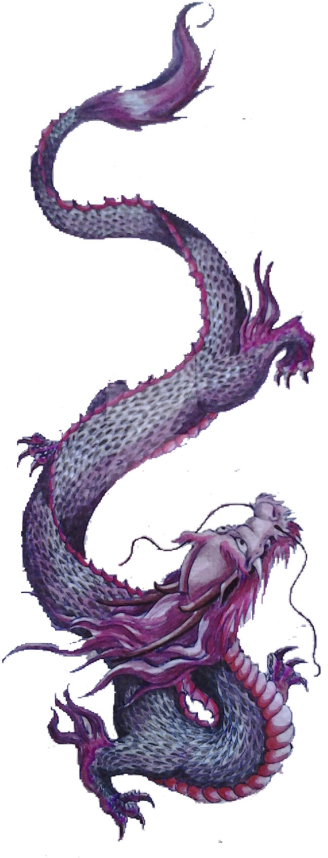 #dragon #japan #japanese #purple #freetoedit #freetoedit - Dragon (1024x1707), Png Download