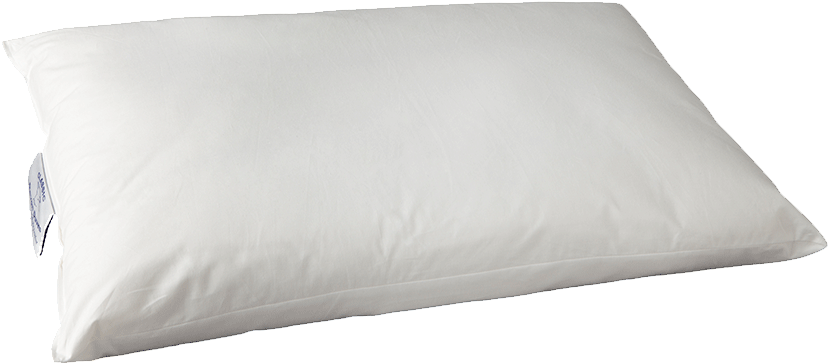 Original - Throw Pillow (1000x1000), Png Download