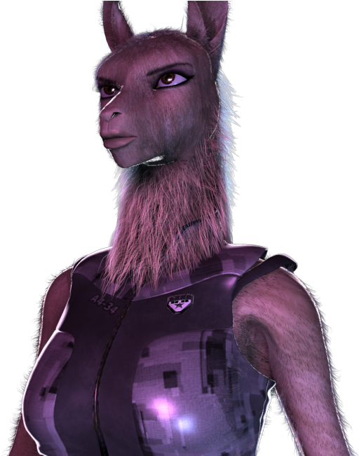 Burro (1280x650), Png Download