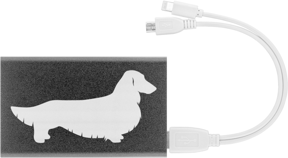 Longhair Dachshund Power Bank - Dachshund (1024x1024), Png Download