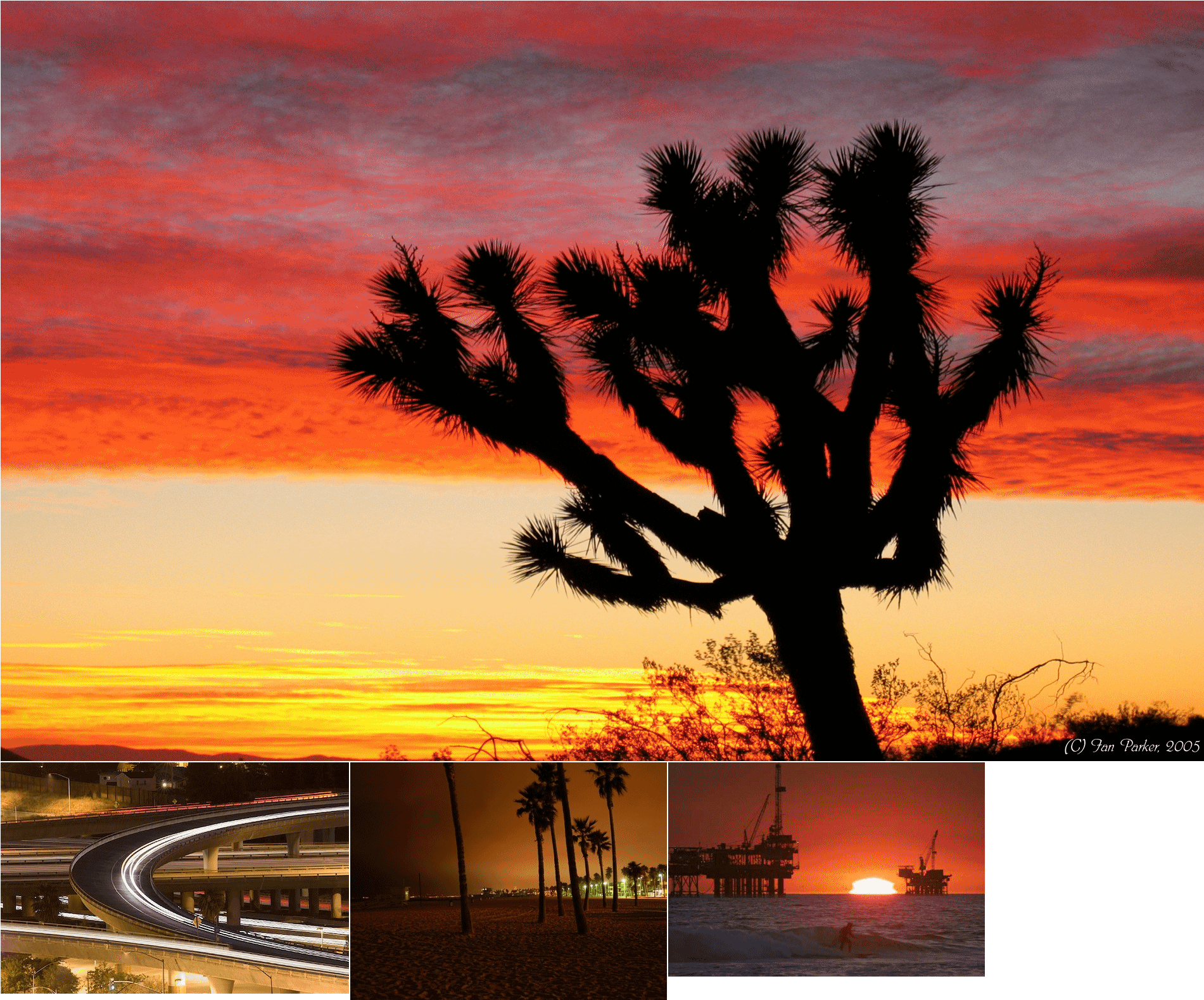 Car Atlas - Joshua Tree Sunset (2048x2048), Png Download