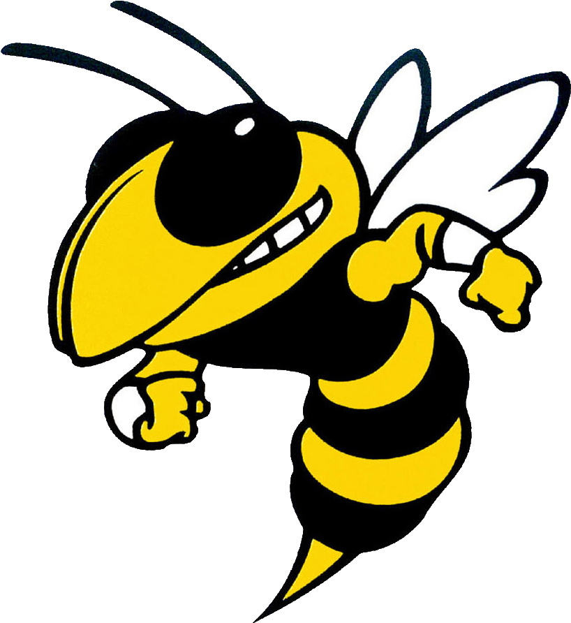 The Lumpkin County Indians Defeat The Hayesville Yellow - Georgia Tech Yellow Jackets Logo (836x911), Png Download