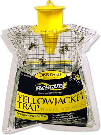 Yellow Jacket Trap - Disposable Wasp Trap (500x700), Png Download