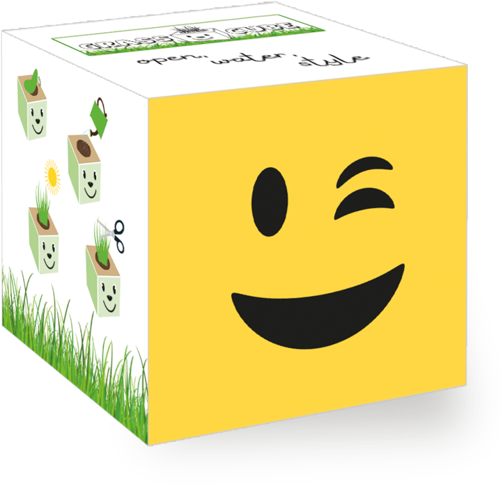 Winking Emoji Png (800x800), Png Download
