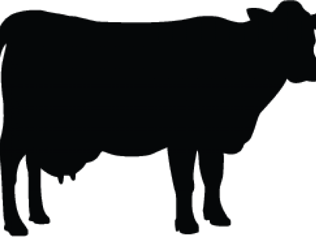Cow Clipart (640x480), Png Download