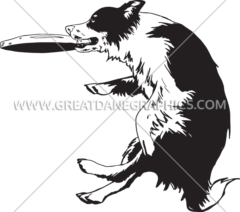 825 X 728 6 - Border Collie Frisbee Clipart (825x728), Png Download