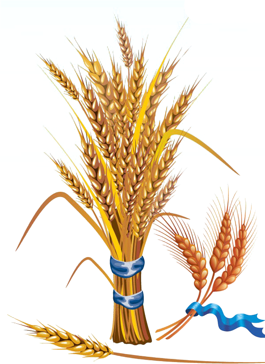 Wheat Clipart Feather - Wheat Vector (1500x1500), Png Download