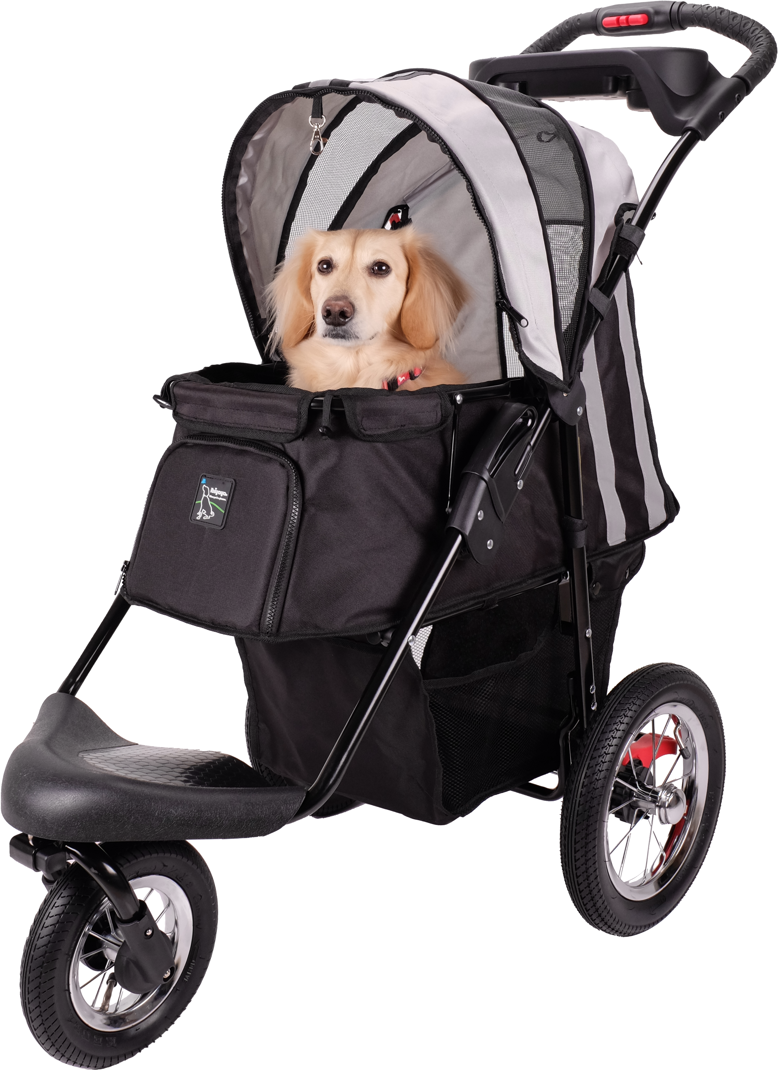 Dog Stroller - Dog Stroller Transparent (3264x4896), Png Download