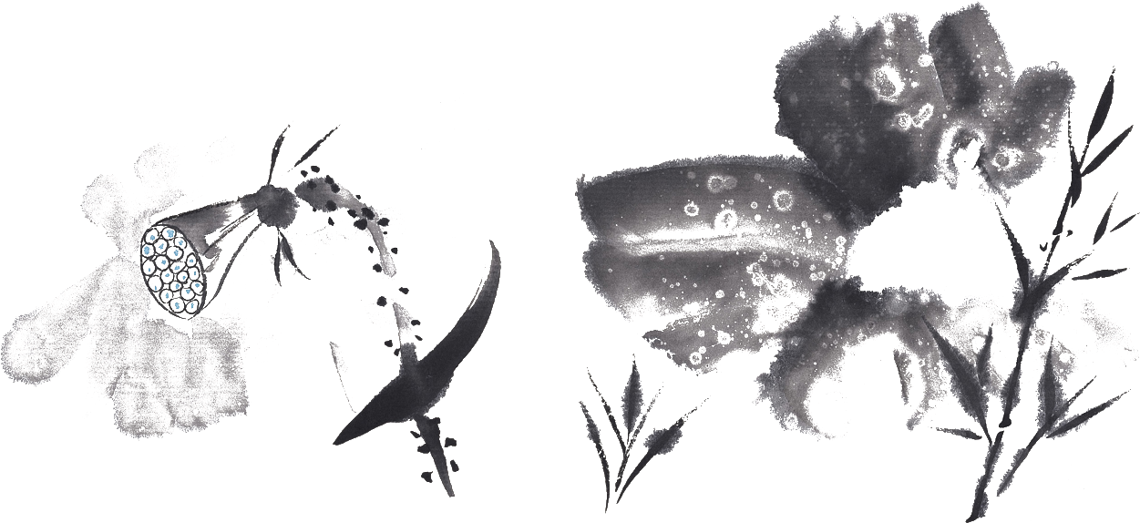 1272 X 754 10 - 国画 水墨 荷花 (1272x754), Png Download