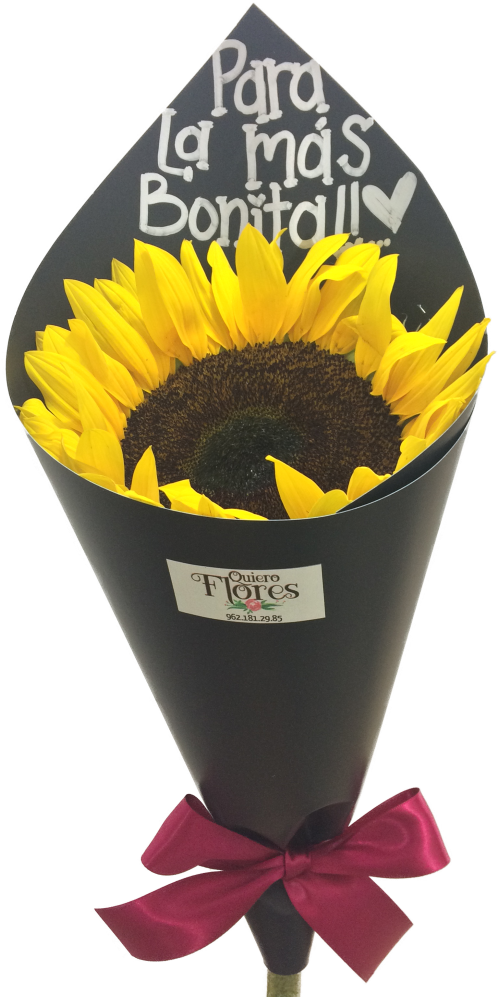 Ramo De Un Girasol (1000x1000), Png Download