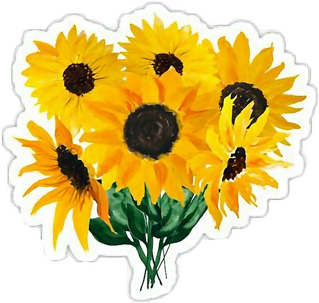Girasoles Sticker - Sunflowers Sticker (1024x973), Png Download