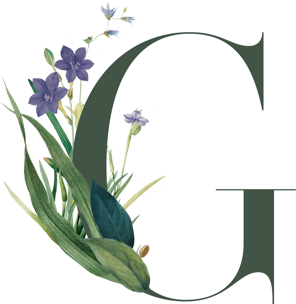 Florals And Events - Gathering Floral & Event Design (1000x1031), Png Download