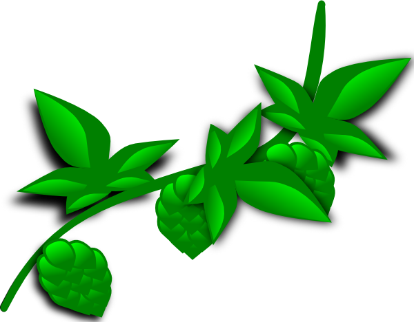 Clipart Transparent Stock Hops Plant Clip Art At Clker - Plant Clip Art (600x468), Png Download