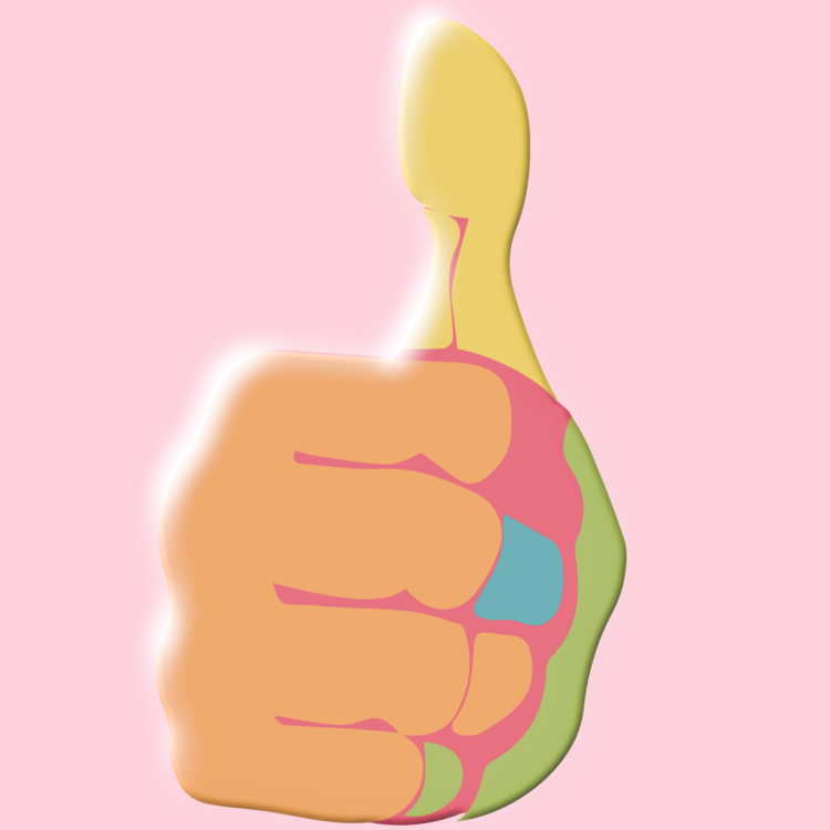 Thumb Hand Model Skin Animated Cartoon - Hand Model (750x750), Png Download