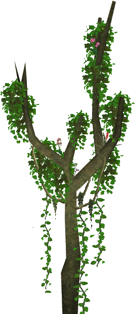 Download Free Jungle Vines Png - Transparent Png Jungle Plant - Full