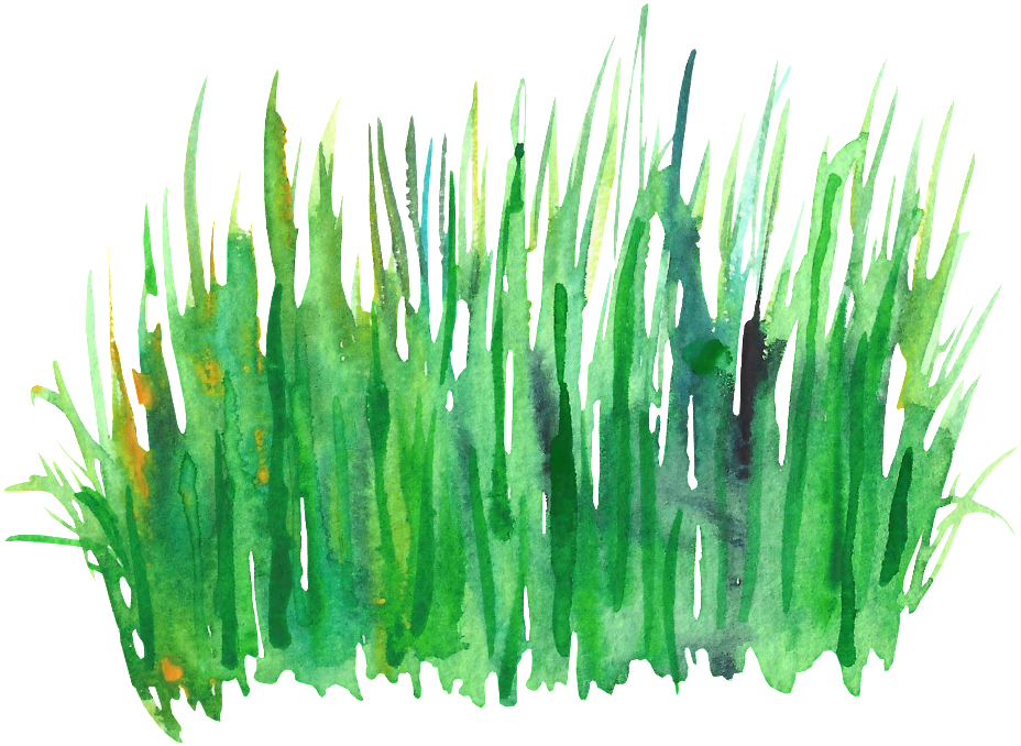 Green Grass Cluster Transparent Decorative - Green Watercolor Grass (1024x814), Png Download