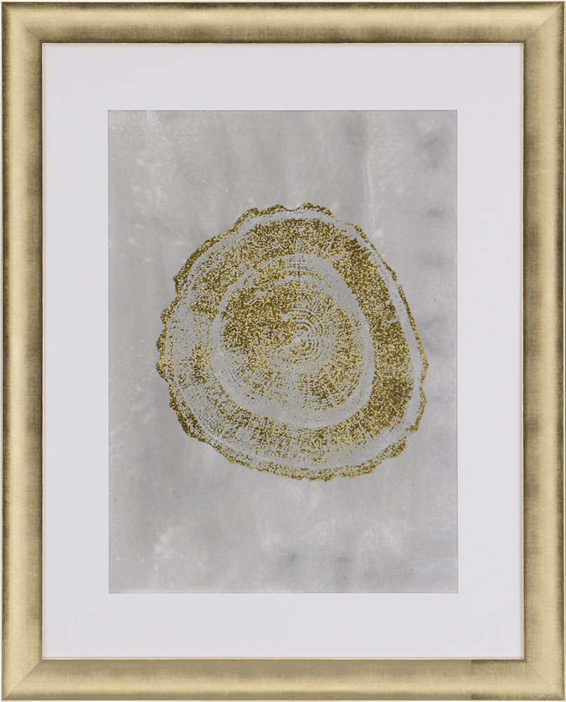 View Larger Image - Paragon Tree Ring Iii By Vision Studio Framed Graphic (1000x1000), Png Download