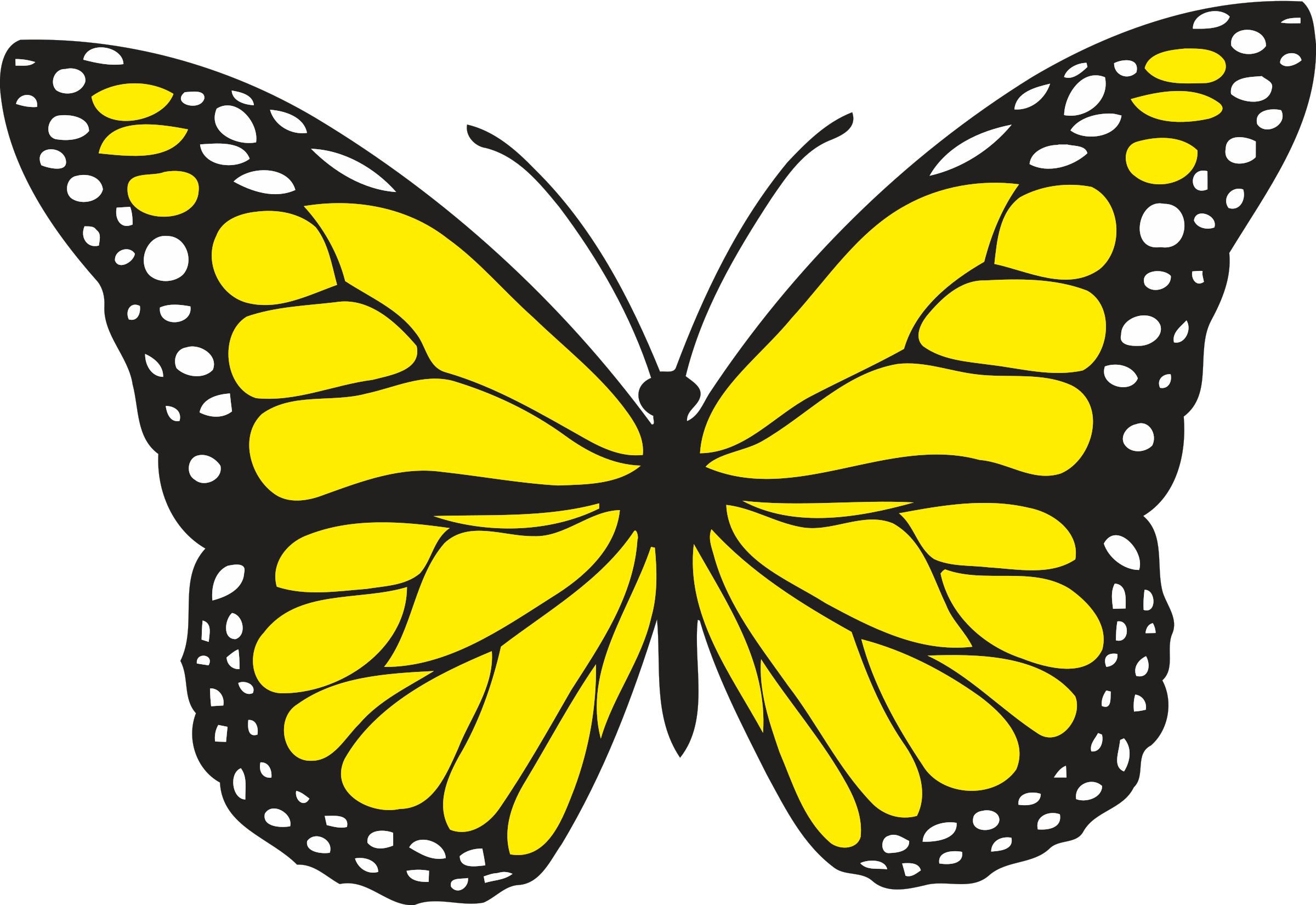 Spiritual Meaning Of Yellow Butterflies - Yellow Butterfly (1000x700), Png Download