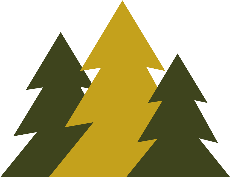 Trees - Christmas Tree (1024x755), Png Download