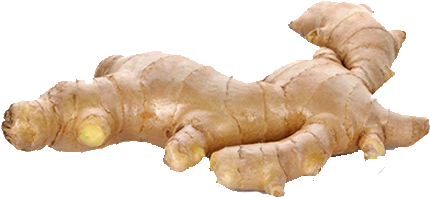 Aromatic, Pungent And Also Spicy, Ginger Provides A - Fresh Ginger Ginger Hd (516x307), Png Download