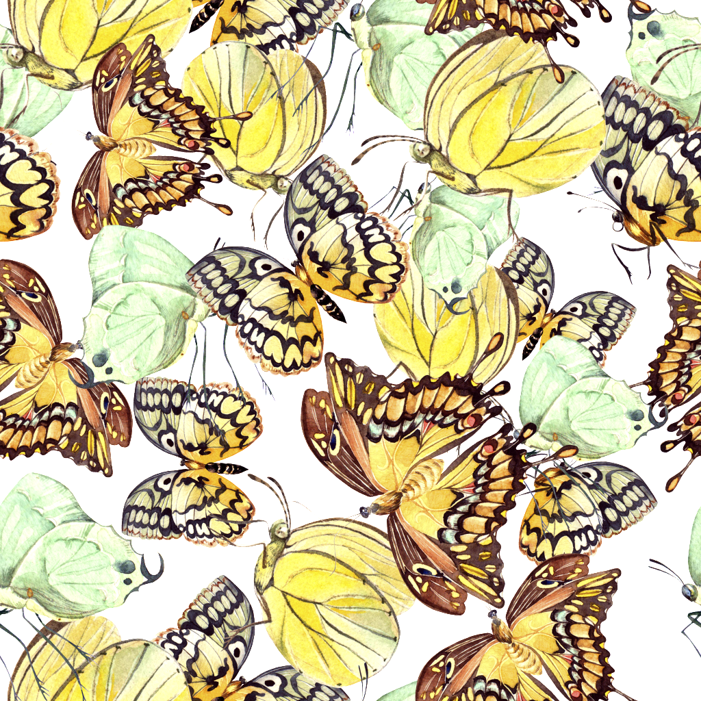 Hand Painted Yellow Butterfly Background Png Transparent - Illustration (1024x1024), Png Download