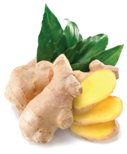 Ginger Png Photo - Amoretti Ginger Extract Oil Soluble - 8 Lbs (403x376), Png Download