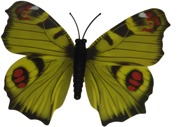 1yellow Butterfly - Southern Dogface (400x352), Png Download