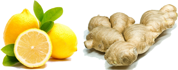 Lemon Ginger - Lemon And Ginger Png (596x256), Png Download