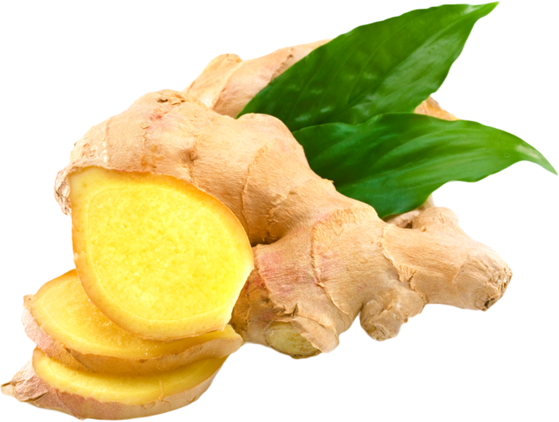 Ginger - Ginger Psd (794x600), Png Download