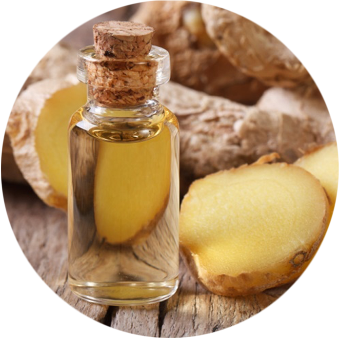 Ginger Oil - Ginger Essential Oil (745x786), Png Download