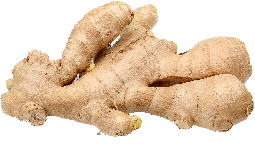 Ginger Root (1000x1000), Png Download