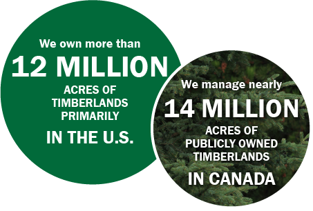 Sustainable Forest Management - Tree (453x306), Png Download