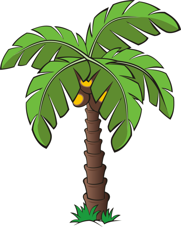Tree, Trees, Palm, Dates, Date Palm, Forest, Vegetation - Palm Tree Clipart (575x720), Png Download