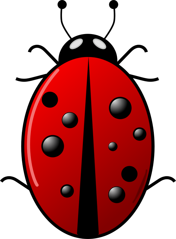 Ladybug Clipart Png (588x800), Png Download