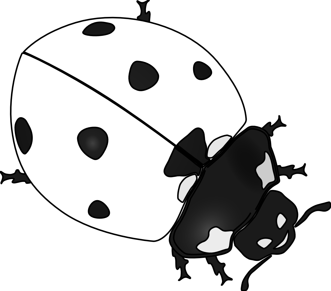 Ladybird Beetle Drawing Clip Art - Ladybug Symbol Black And White (1331x1169), Png Download