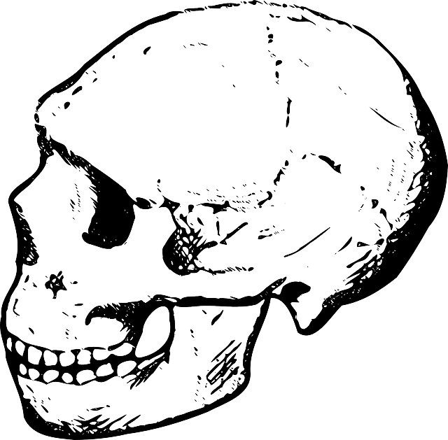 Head, Dead, Black, Skull, Human, White, Cartoon, Bones - Skull Clip Art (640x629), Png Download
